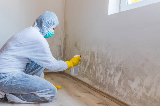 Licensed Mold Testing service in Onemo, VA - WQB Mold Removal