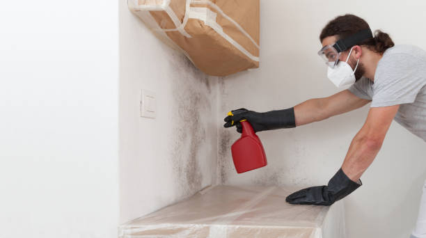 Professional Mold Testing technician working in Onemo, VA